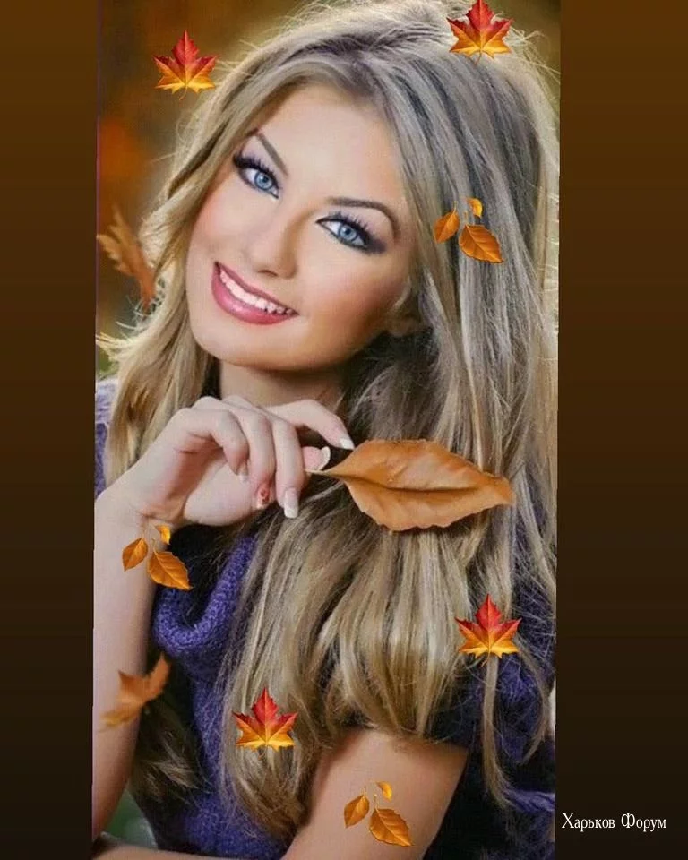 91ca7bf684a39fdc75a7.webp