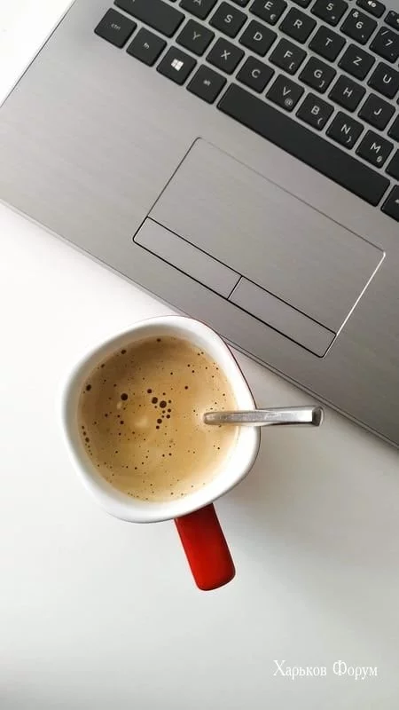 91d385e6e6e4979470b5d.webp