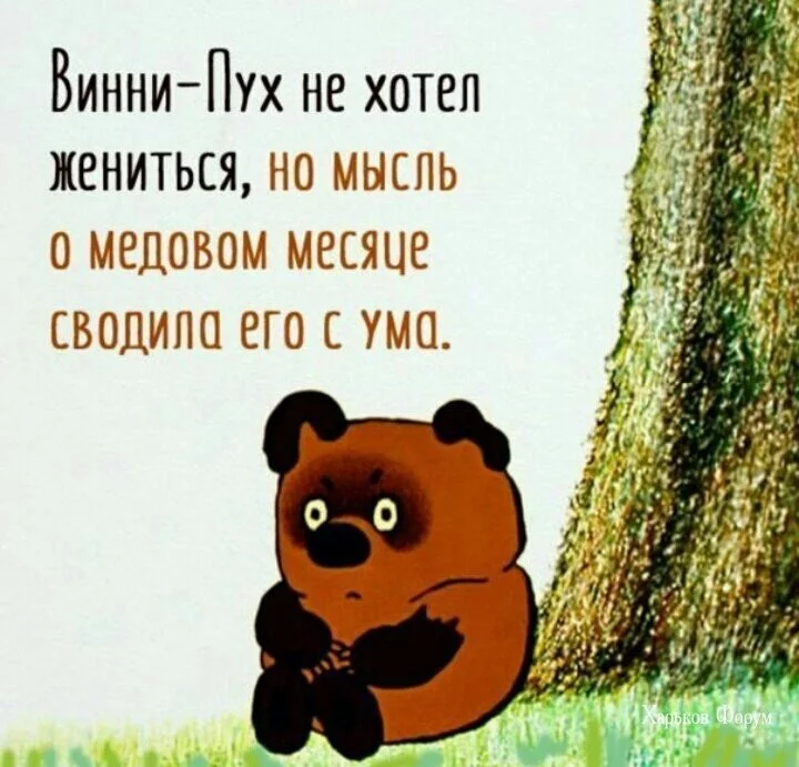 91e88d67fc4ab6bdce28.webp