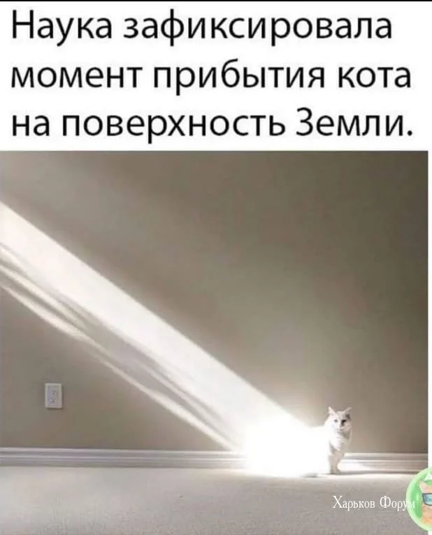 91f6fe5231b13974c.webp