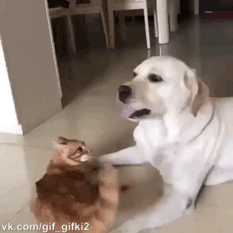 9204f42c1357917e2b4b.gif