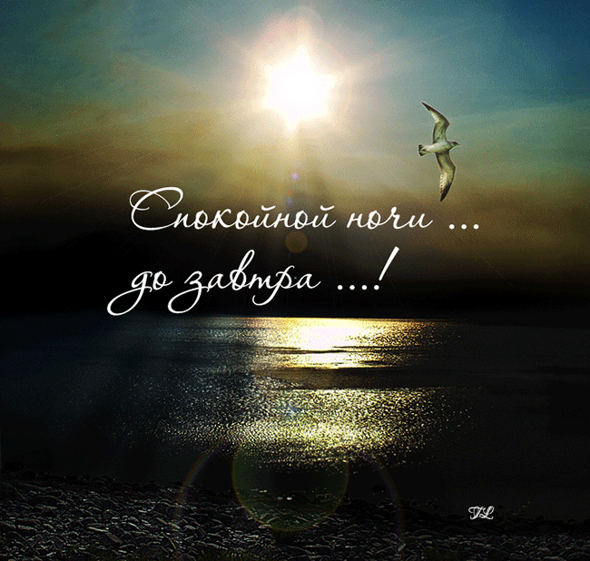 921f80e3b839691ade42.gif