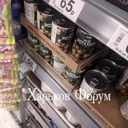 9227f319917b330d.webp