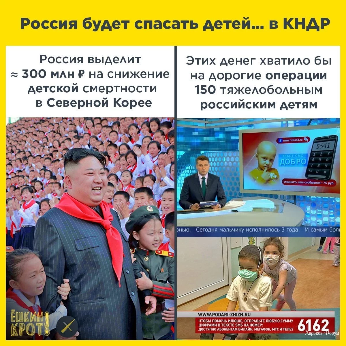 9229575effec92ee8705.webp