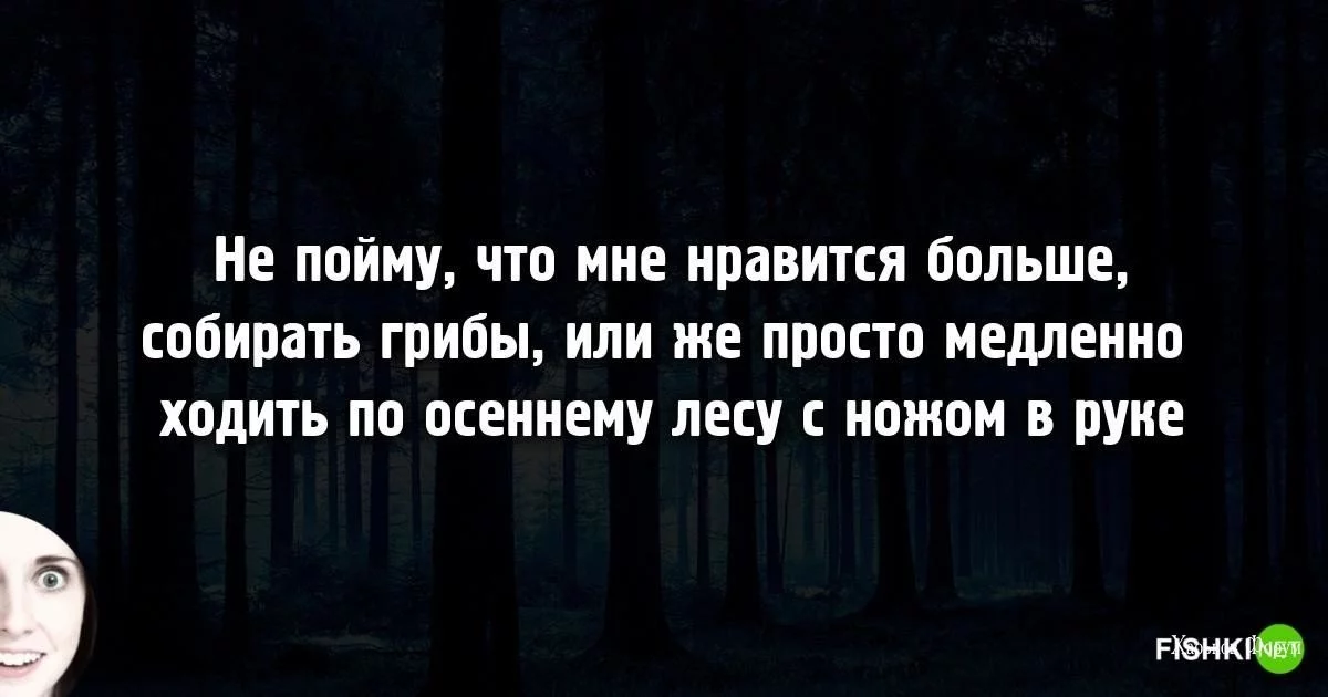 922d54591c6e8ffc5.webp