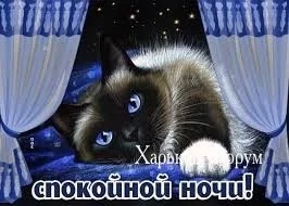 92341ca2797292629.webp