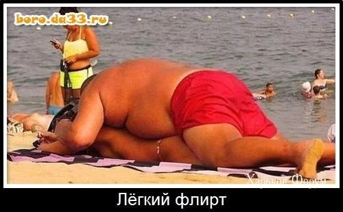 924eff0af94e78ed8.webp