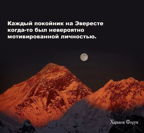 92527b92a88bdfaf0a872.webp