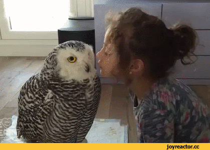 9259d4d706ca36ecbf67f1.gif