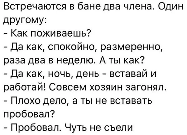 92649518984e73ca9.webp