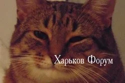 9271d05f49f6d5b8.webp