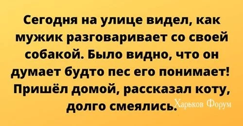 9294390dfc1c95dd6.webp