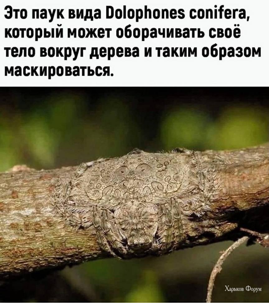 92af2615af028272.jpg