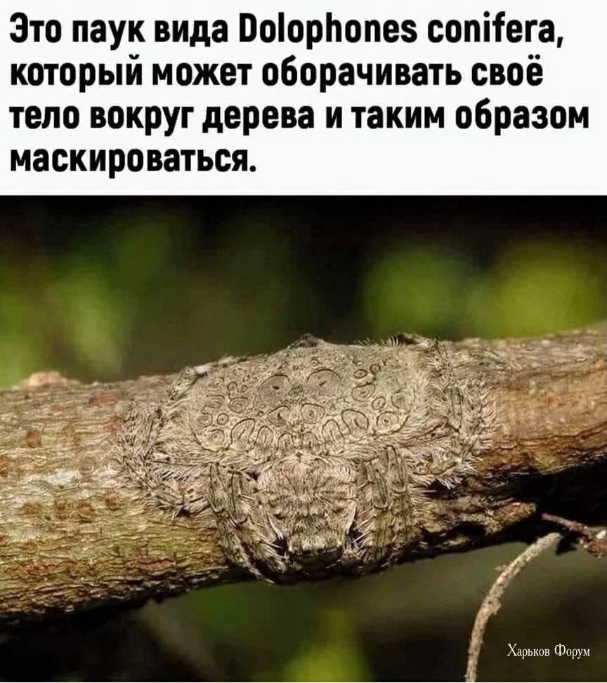 92af2615af028272.webp