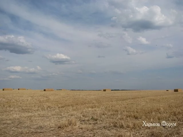92b71c8d4597719a39.webp