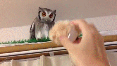 92bb9f53fc3c2a90d2275.gif
