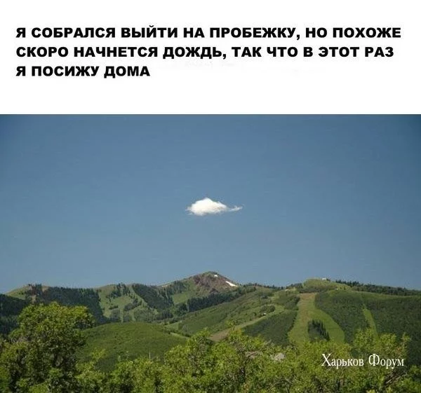 92cf2a21ae3dc55ca0470b.webp