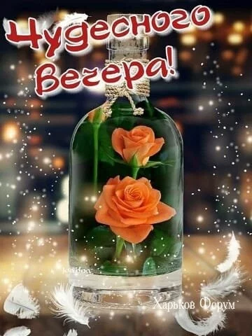 92d9846134e92a64a.webp