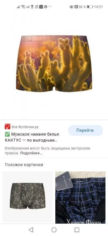 92e7e0f4219b88480f0.webp