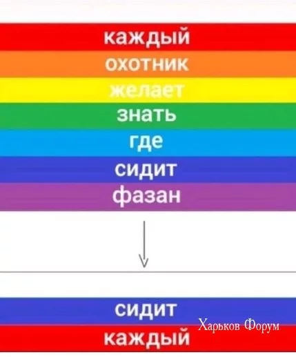 92f2e1cb1f522ecc36c4477.webp