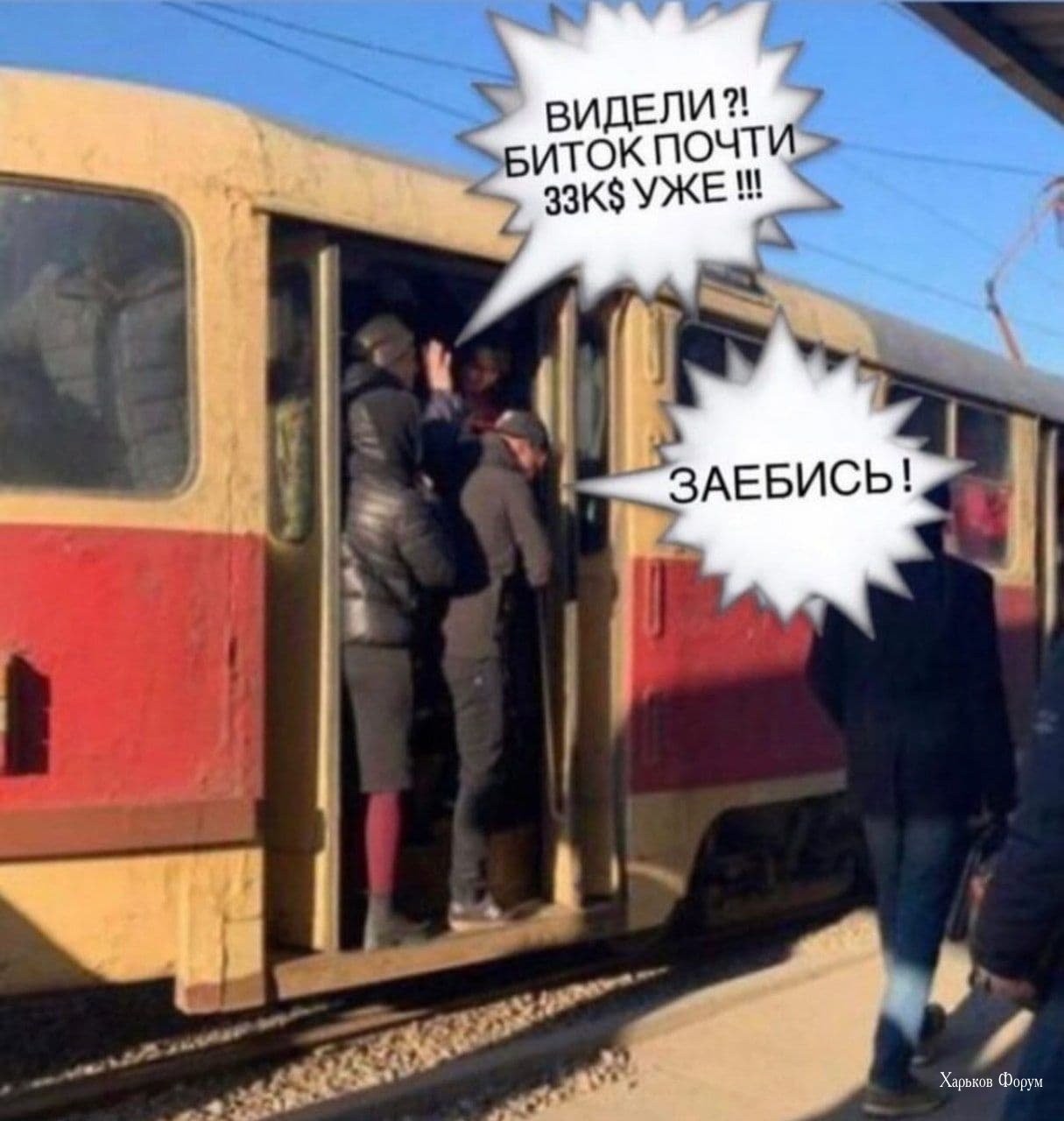 92f78054c73526e3c7e.jpg