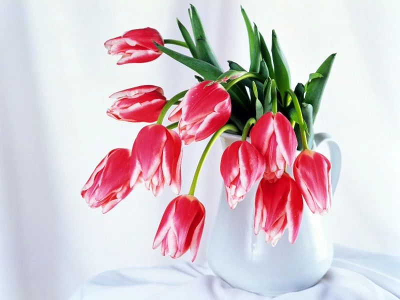 9313ee05743426051f2bfa27ebd2a4aa.webp