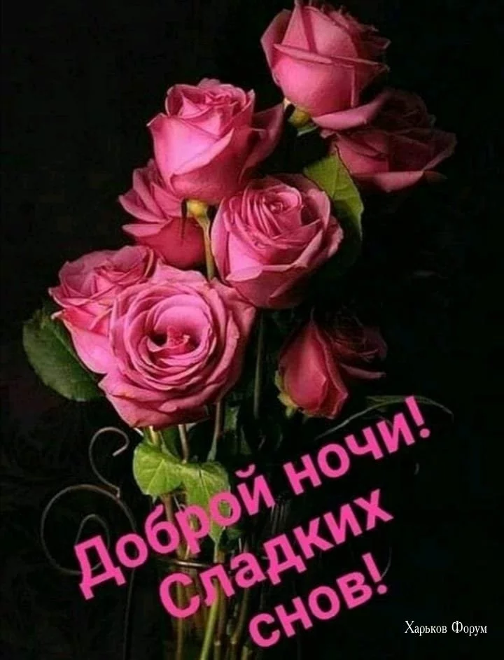 93219b69e3fa1e831e0.webp
