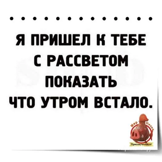 93230302606907bdad02cd5.webp