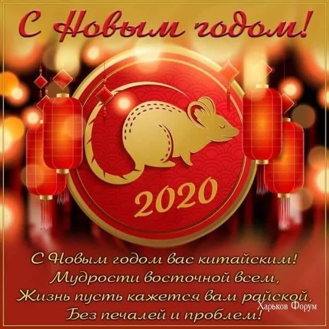 932eb7587efe5a75029.webp