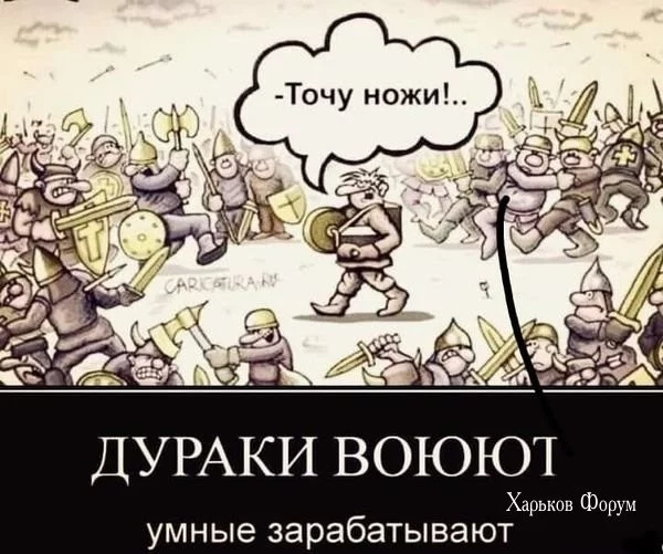 9331b89063436c296b.webp