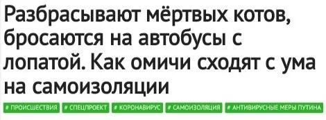 9331d5a7a62ab2e9.webp