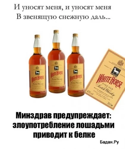 9341044_38656.webp