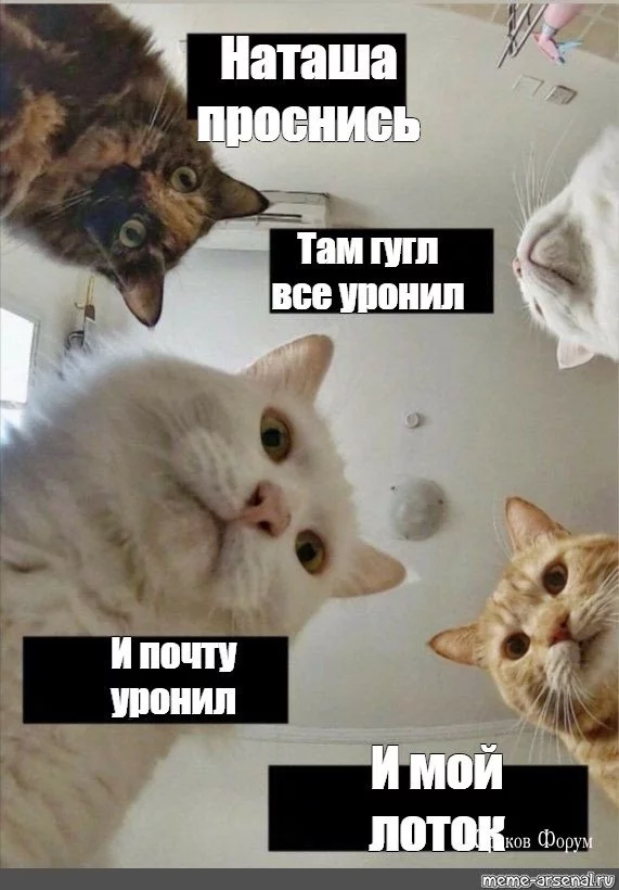 9346c8bcddf9078739f86.webp
