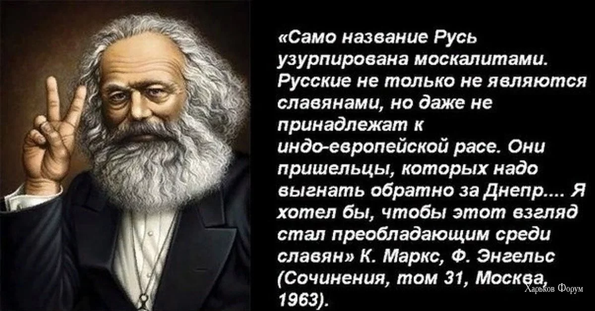 93473d48534c4545.webp