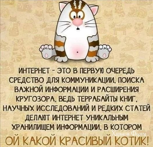 935fe82224787c16.jpg