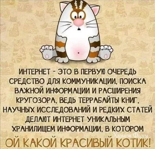 935fe82224787c16.webp