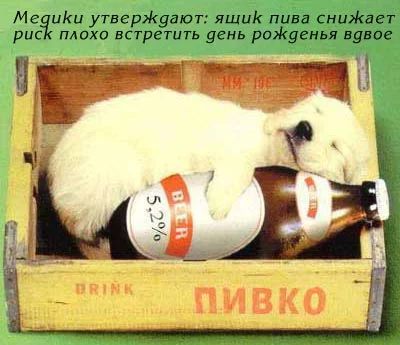 9362585.webp