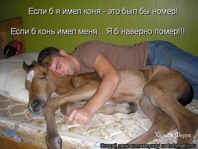 93681e1e7de1355a6c53.webp