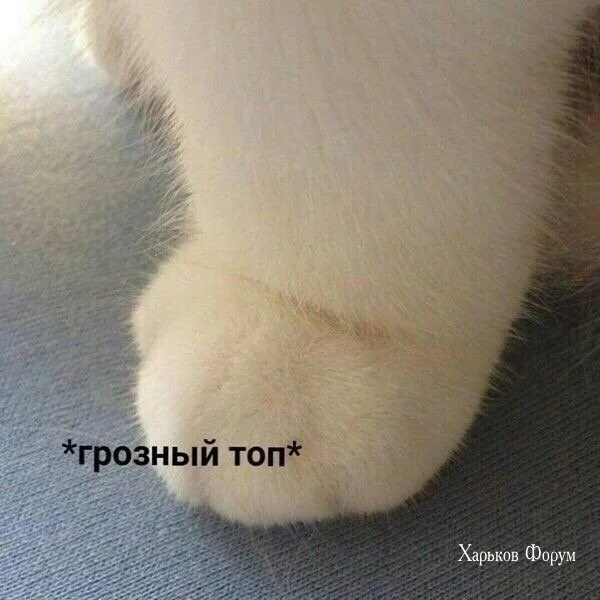 936af13afd8a3a38396db256.webp