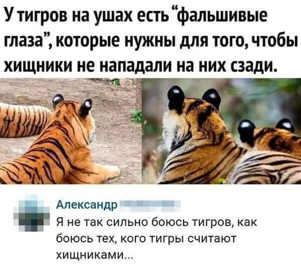 936c774565a8630fabbd3.jpg