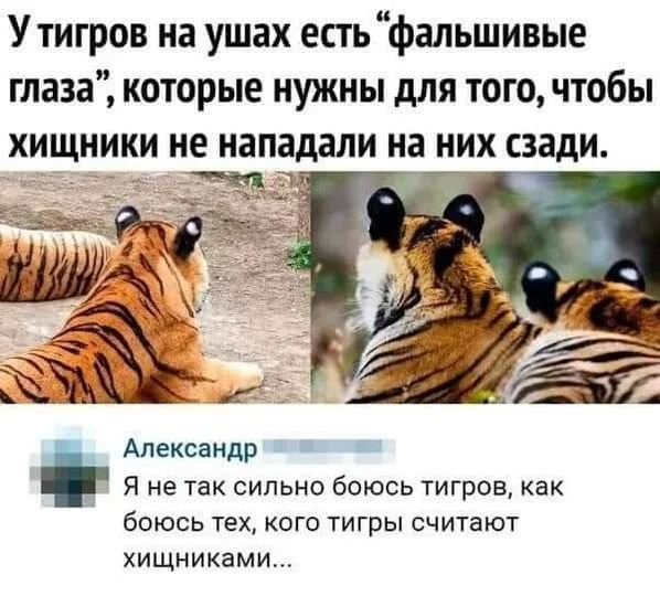 936c774565a8630fabbd3.webp