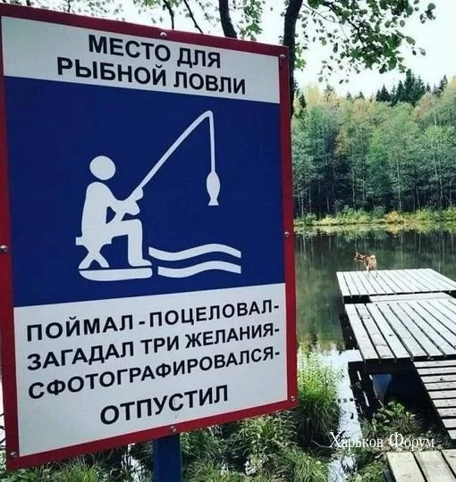 936f233d1e77664d188.webp