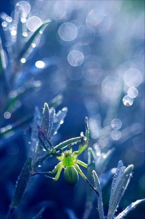 93703169_large_Magdalena_rodilas_v_1973_godu.webp