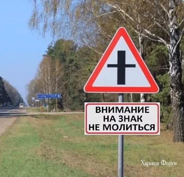 93806f86da683e7a.webp