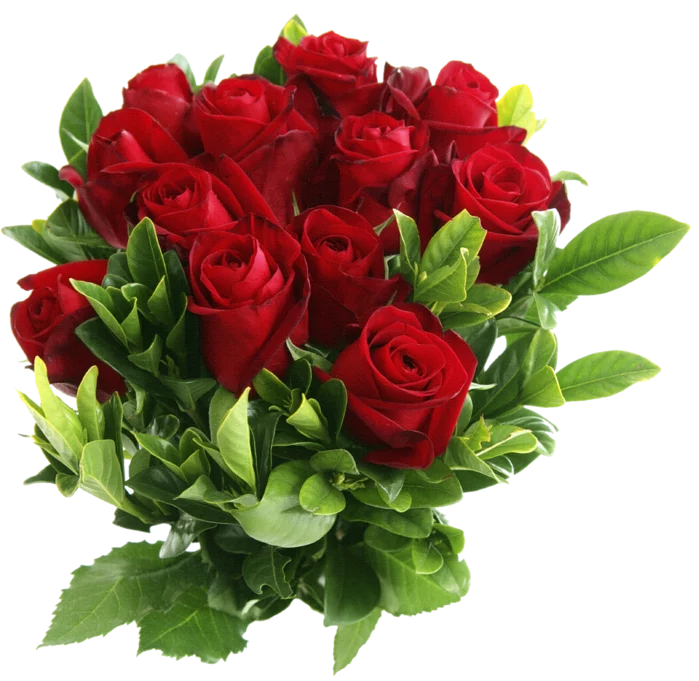 93865590_large_0_72931_26887507_XXXL.webp