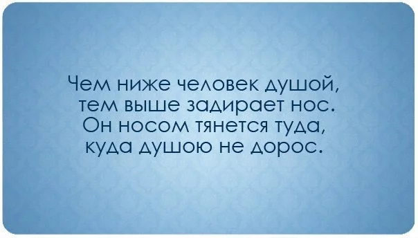 93886604_AB87qAkec4o.webp