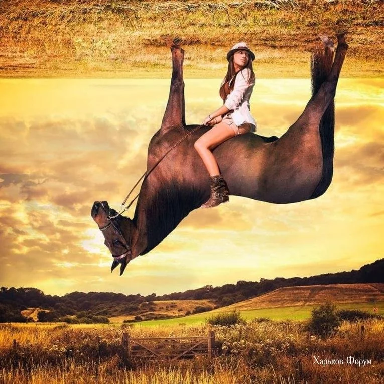 938cf5376164c5d97e01a8b.webp