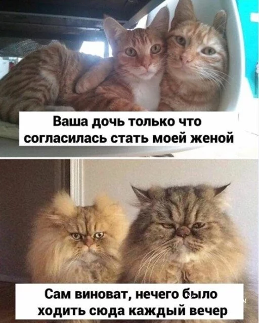 93af9fe50da649c5b2.webp