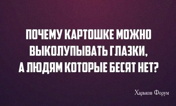 93b17db1672745973.webp