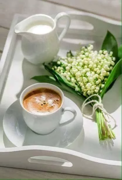 93d28df25cf8f1ac3c9c5d6ddea8408f.webp
